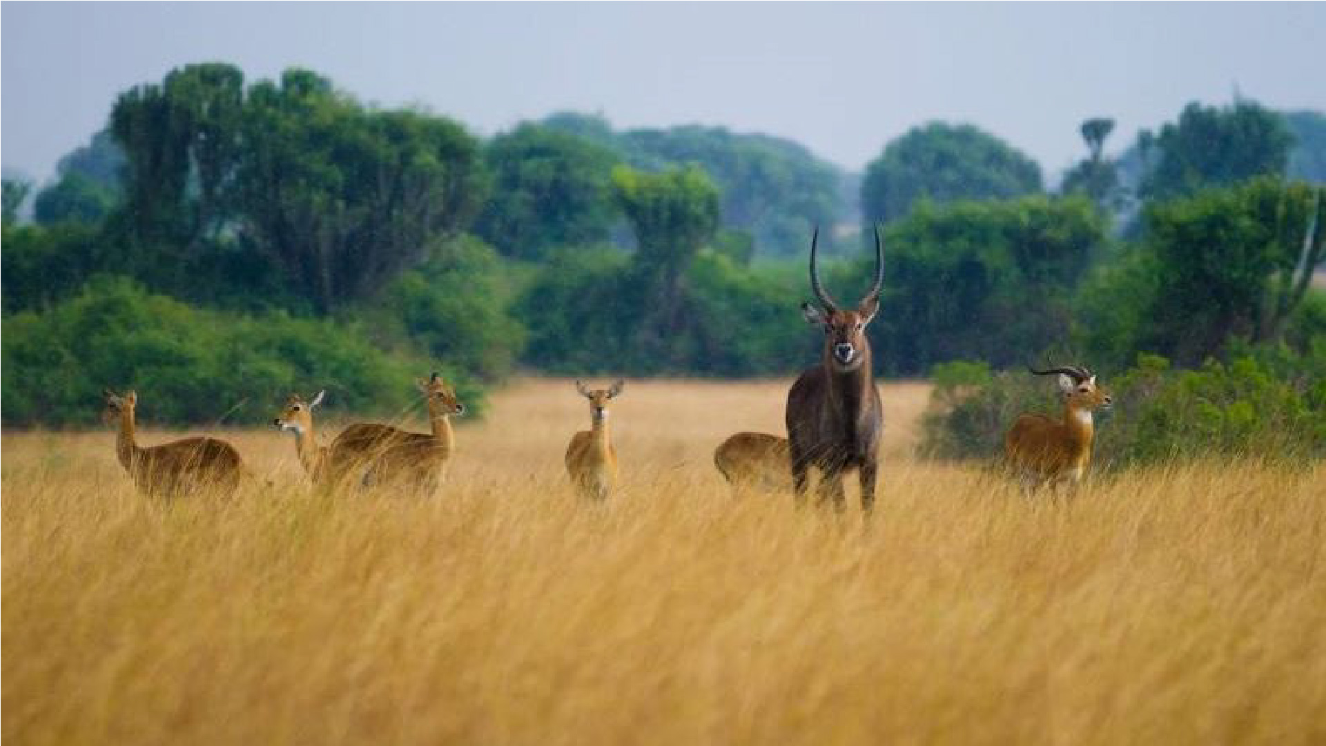 Explore Africa Tours and Travel