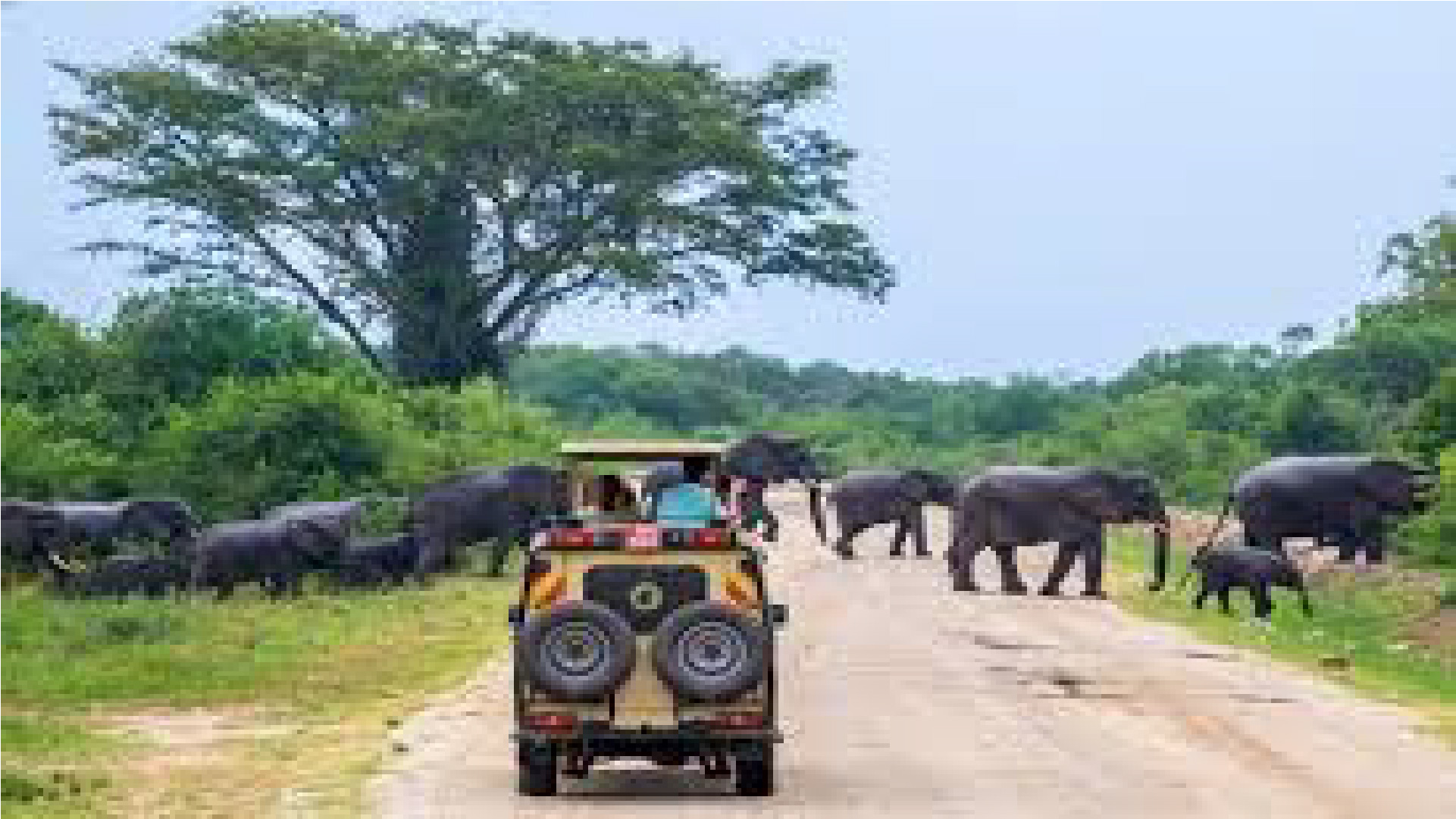 Explore Africa Tours and Travel
