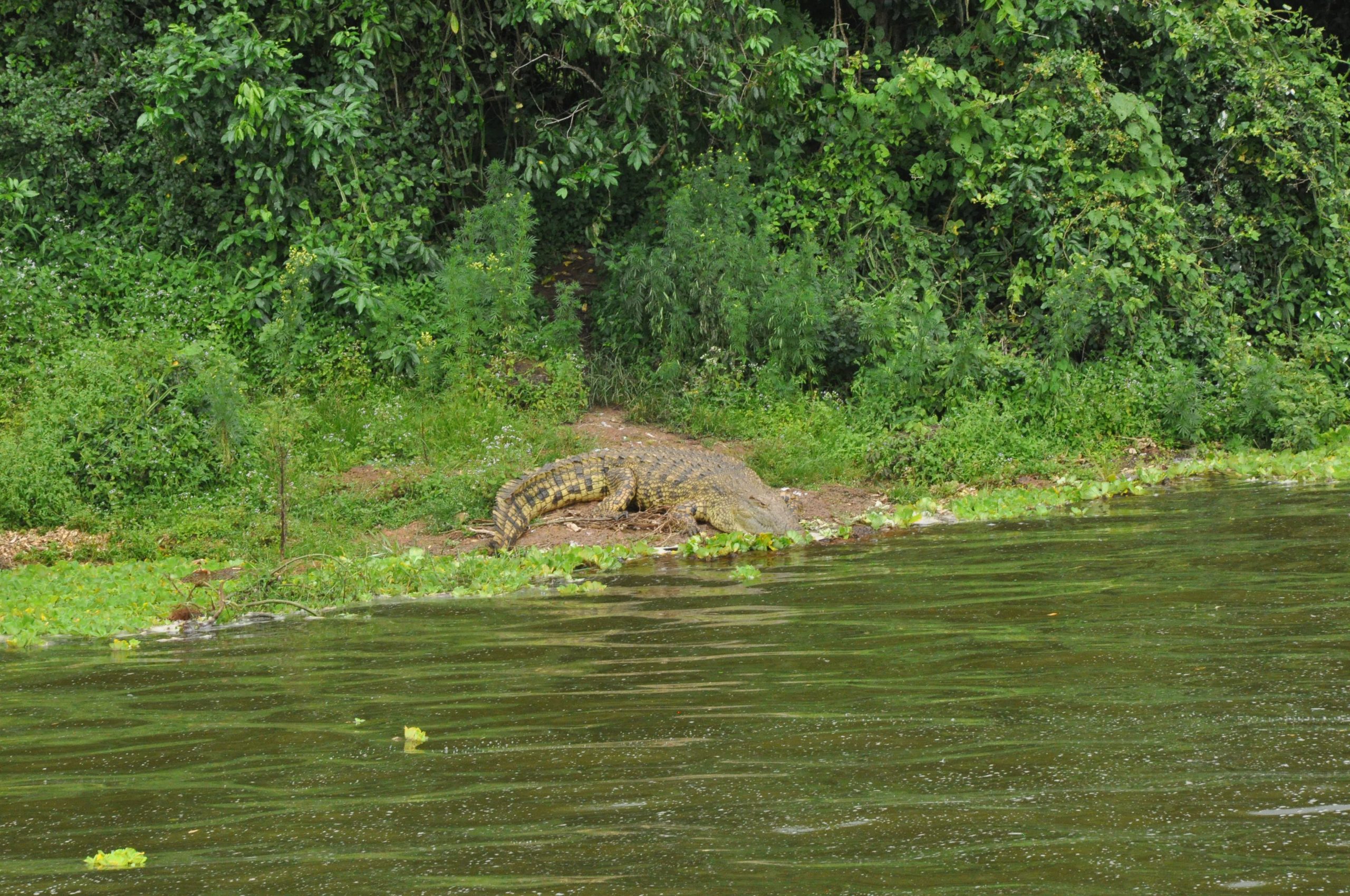 Explore Africa Tours and Travel
