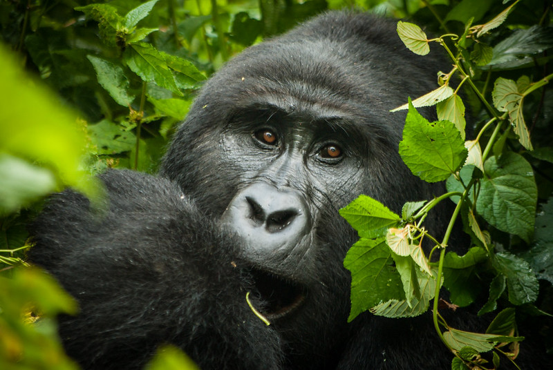 Explore Africa Tours and Travel