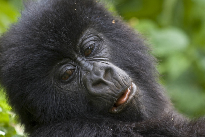 Explore Africa Tours and Travel